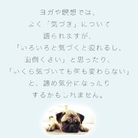 画像411