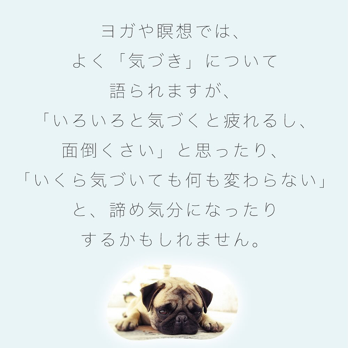 画像411