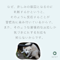 画像418