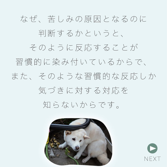 画像418