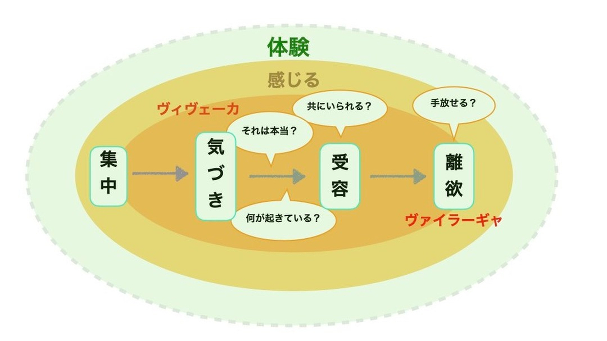 画像484