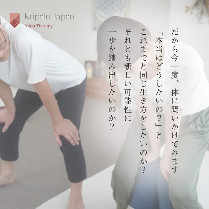 画像494